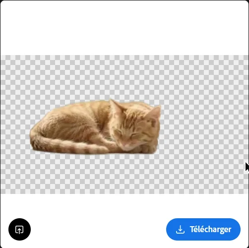 Adobe Firefly, retouche photo IA gratuite : le chat roux détouré sur fond transparent, sans compte